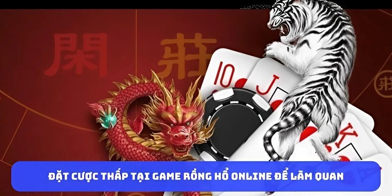 Dat-cuoc-thap-tai-game-rong-ho-online-de-lam-quan