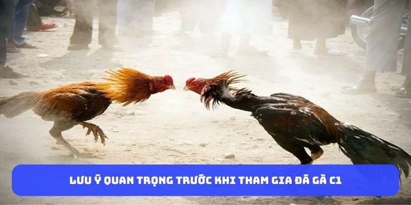 luu-y-quan-trong-truoc-khi-tham-gia-da-ga-C1